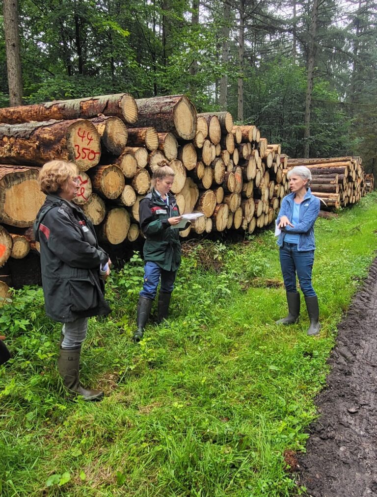 Erfolgreiche Exkursion im Ricklinger Forst – Ein Schritt hin zu klimaresistenten Wäldern