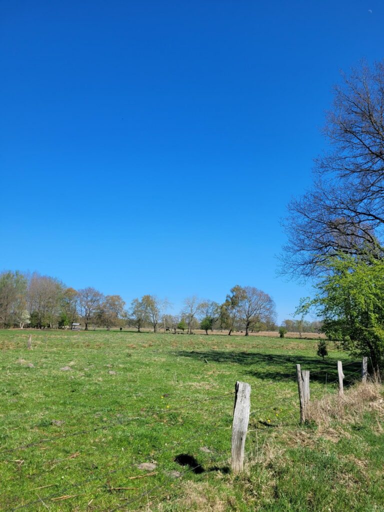 Besuch bei „Ein Stück Land“ in Kayhude: Regional, nachhaltig und innovativ